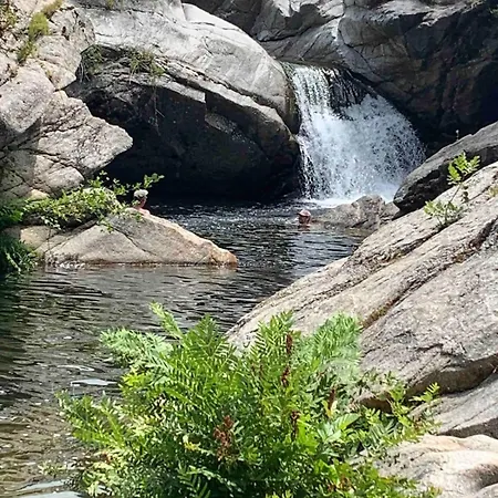 T3 Avec Piscine Au Calme Tres Bien Situe *